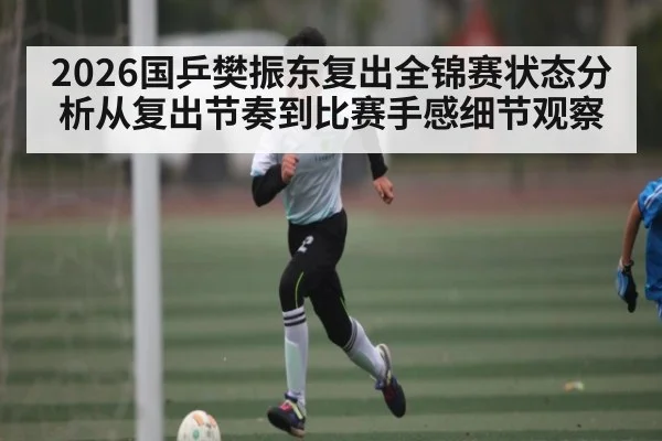2026国乒樊振东复出全锦赛状态分析从复出节奏到比赛手感细节观察